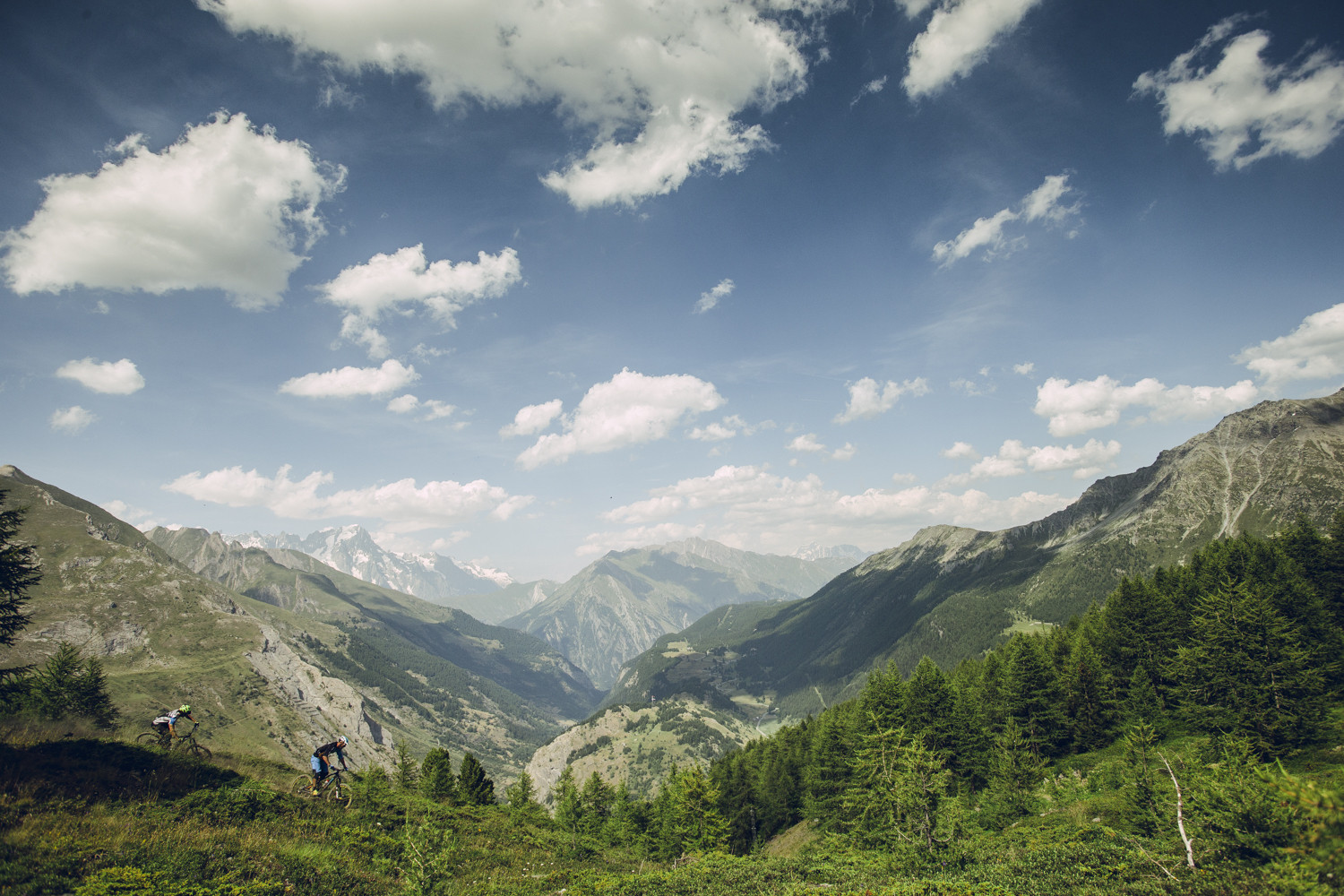 What is the Secret of Mountain Biking's Fastest Language? French