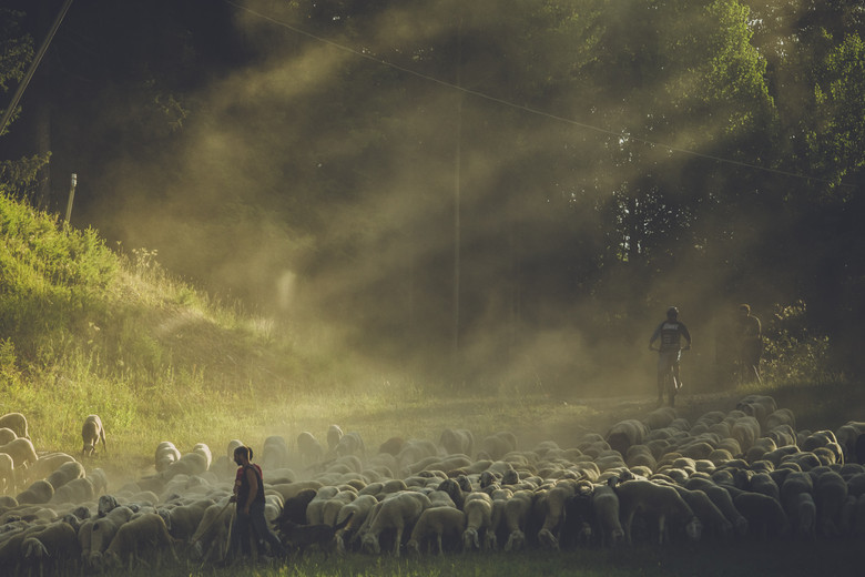 What is the Secret of Mountain Biking's Fastest Language? French