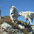 C50_dscf5298