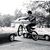 C50_krogerjumpbmx