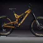 C138_evo_gold