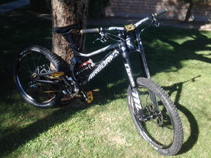 Airborne Bicycles Pathogen Hayesed Custom Build