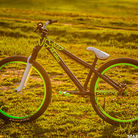 C138_staronphoto_1460