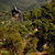 C50_s780_ryan_meyer_corked_360