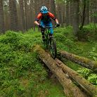 C138_dsc_0711_are_stokk_i_skotske_skogen_foto_johanwildhagen