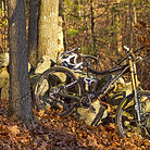 C138_img_1034hdr