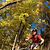 C50_arthurs_point_autumn