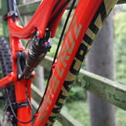 C138_santa_cruz_blur_trc_9