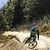 C50_chris_hammies_roost