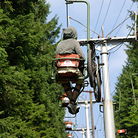 C138_sg100659