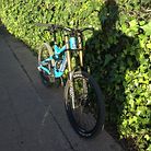 C138_img_0252
