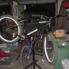 C138_img_0889