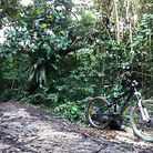 C138_photo_15