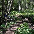 C138_img_0643_1