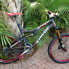 C138_redbird