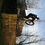C50_97393220_1269697658