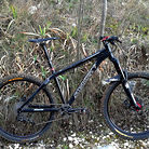 C138_chameleon_new