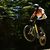 C50_image_1379566979
