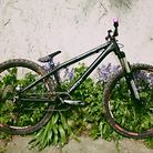 C138_img_0874_copy