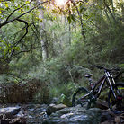 C138_mg_8342