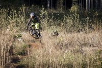 S200x600_s1600_img_0455_1417570068
