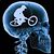 C50_skull_mtb2_1372223679