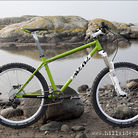 C138_img_7281_m_lr