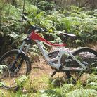 C138_1185052_445075018941776_1297035001_n