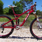 C138_avanti_torrent_2011_4