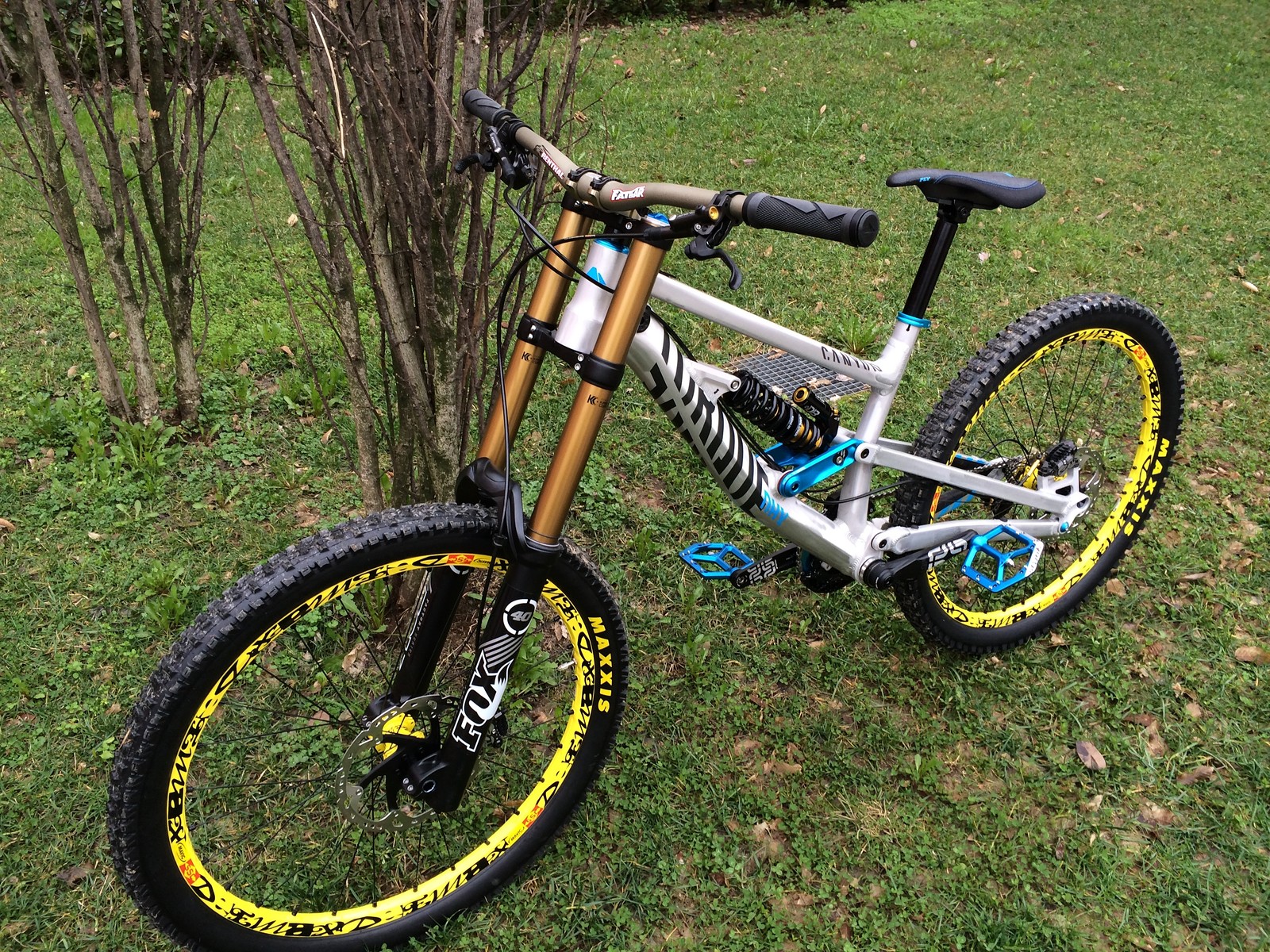 Canyon Torque DHX Flashzone Delca Mountain Biking Pictures Vital MTB