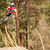 C50_mojowheels_dragonjump_1386189801