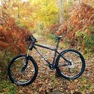 C138_img_20161204_094450