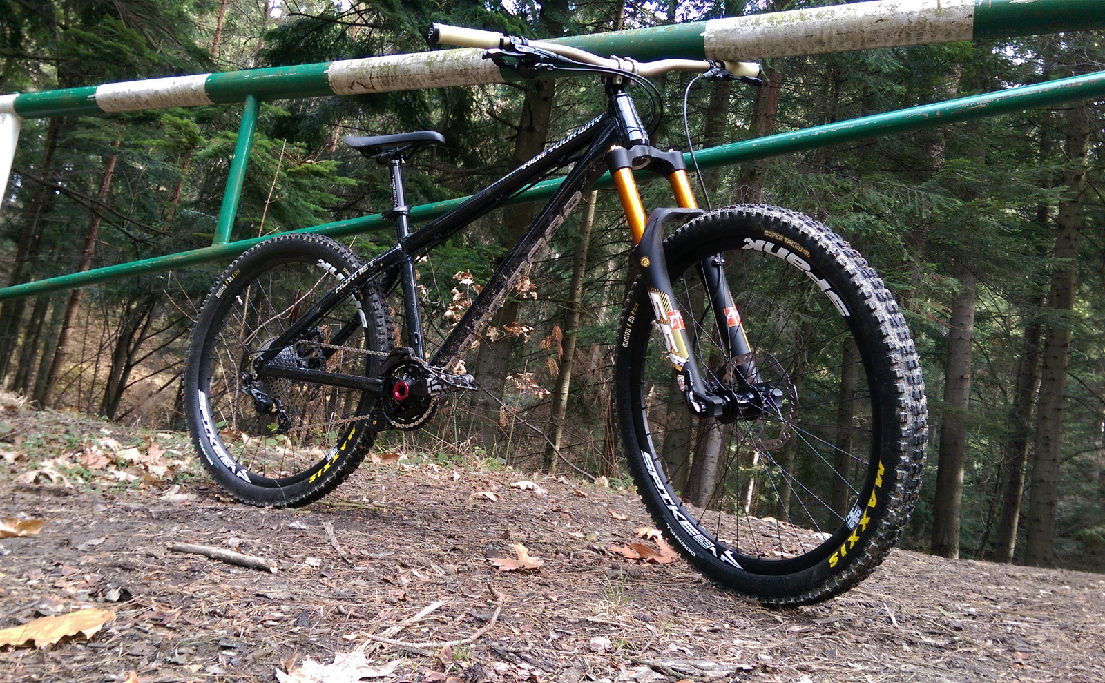 DARTMOOR BLACK Daro's Bike Check Vital MTB