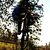 C50_bruce_0002