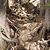 C50_fb_picture_1176160384