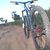 C50_sany1224