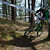 C50_beaconhilldh2014_1416378211