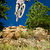 C50_cnw082711_0280_edit