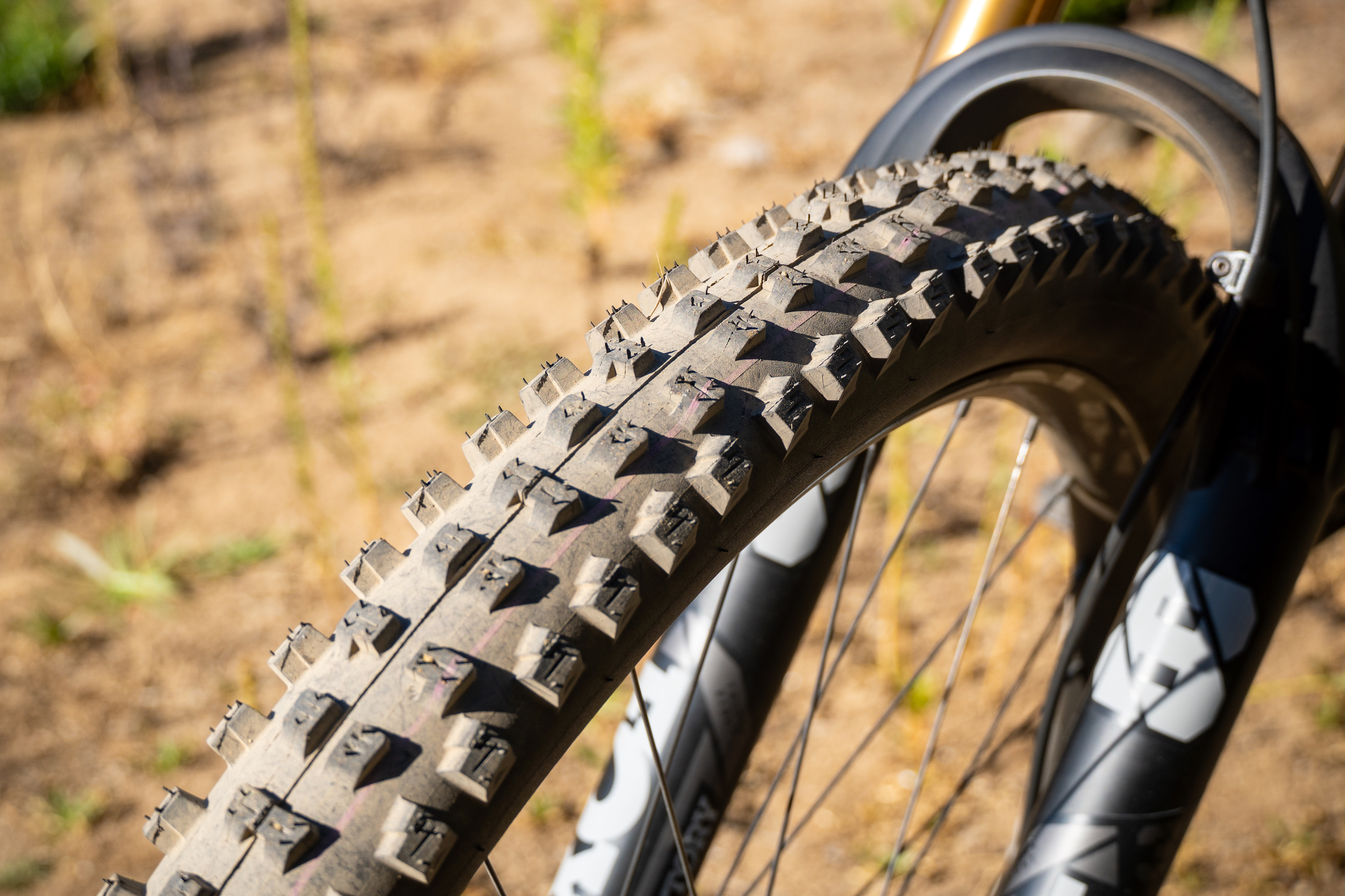 First Look: Schwalbe Tacky Chan Tire - Mountain Bike Feature