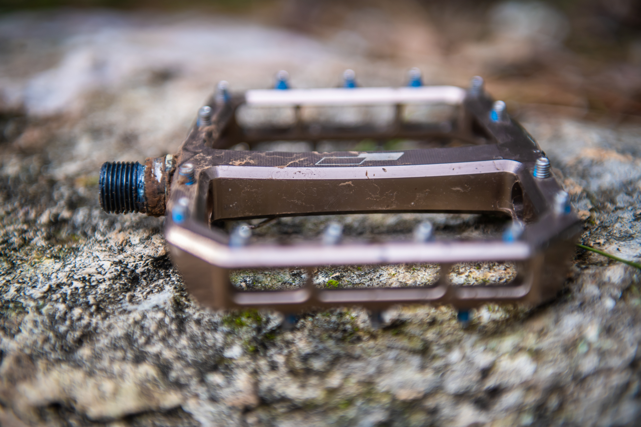 Vital MTB Face Off The Best Flat Pedals Mountain Bike Feature Vital MTB