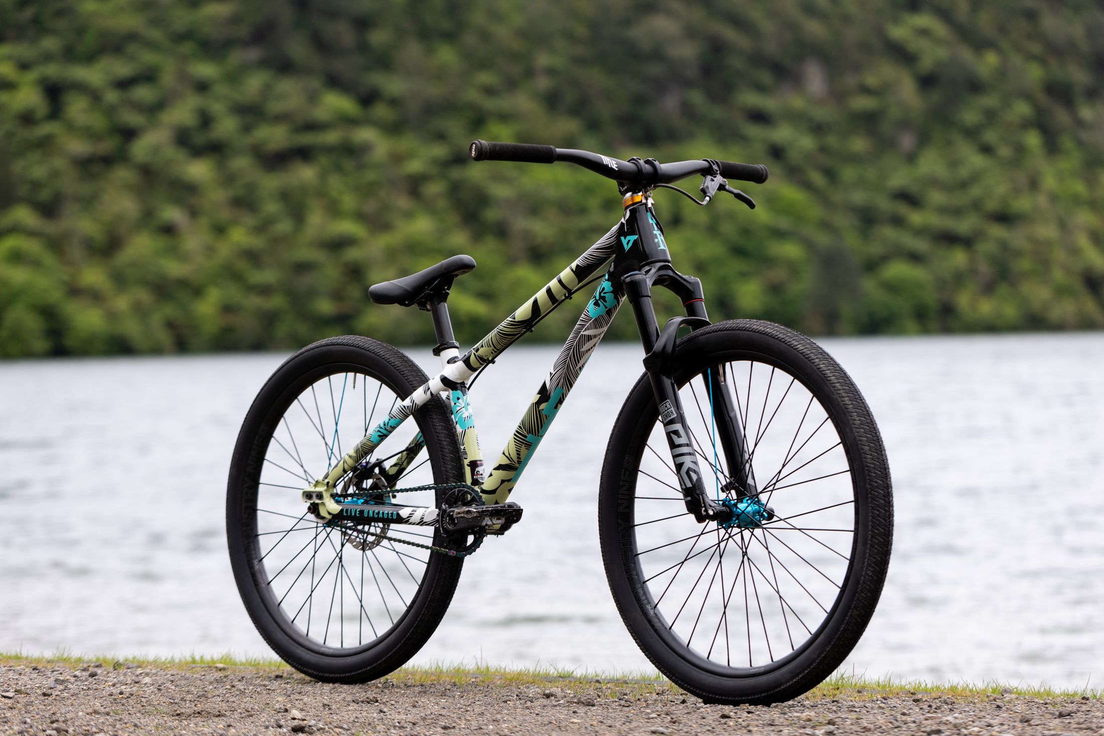 Pro Bike Check Erik Fedko's Custom YT Dirt Jumper Mountain Bike