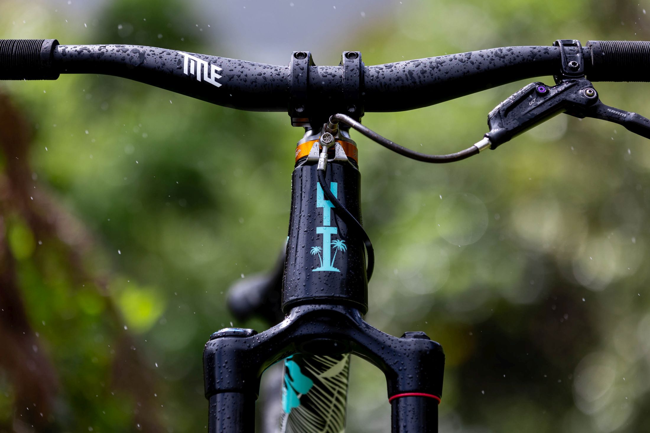 Pro Bike Check Erik Fedko's Custom YT Dirt Jumper Mountain Bike