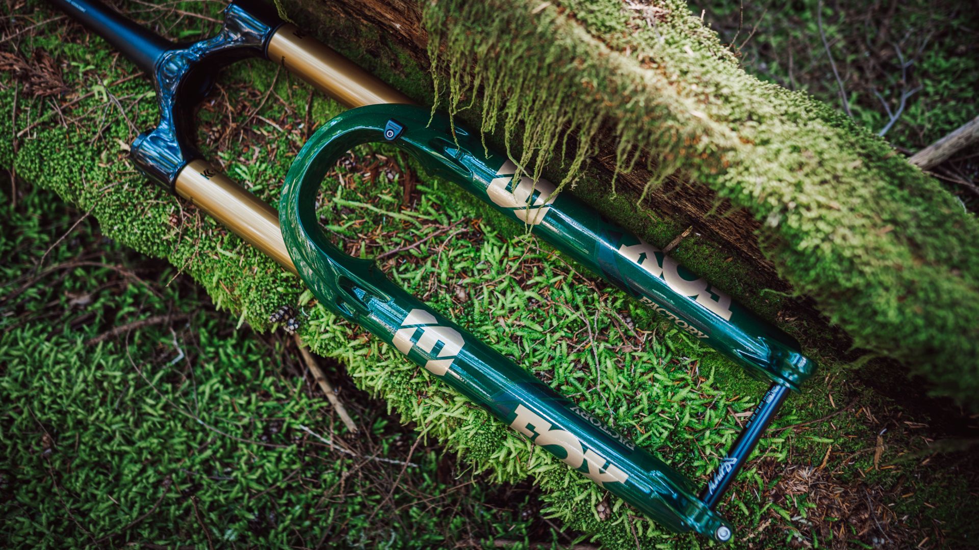 FOX Launches the Limited Edition Racing Green 38 - Mountain Bike