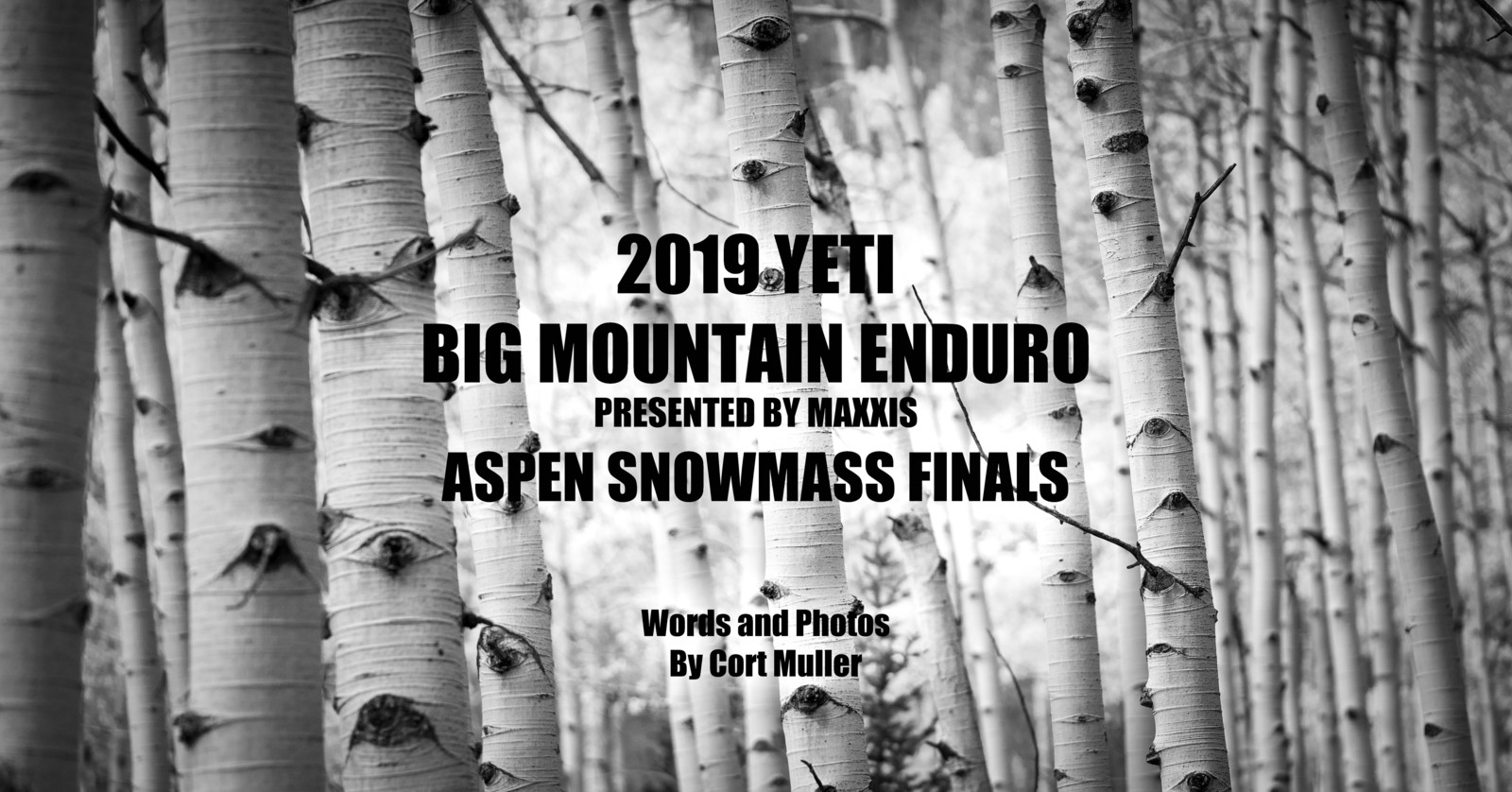 big mountain enduro 2019