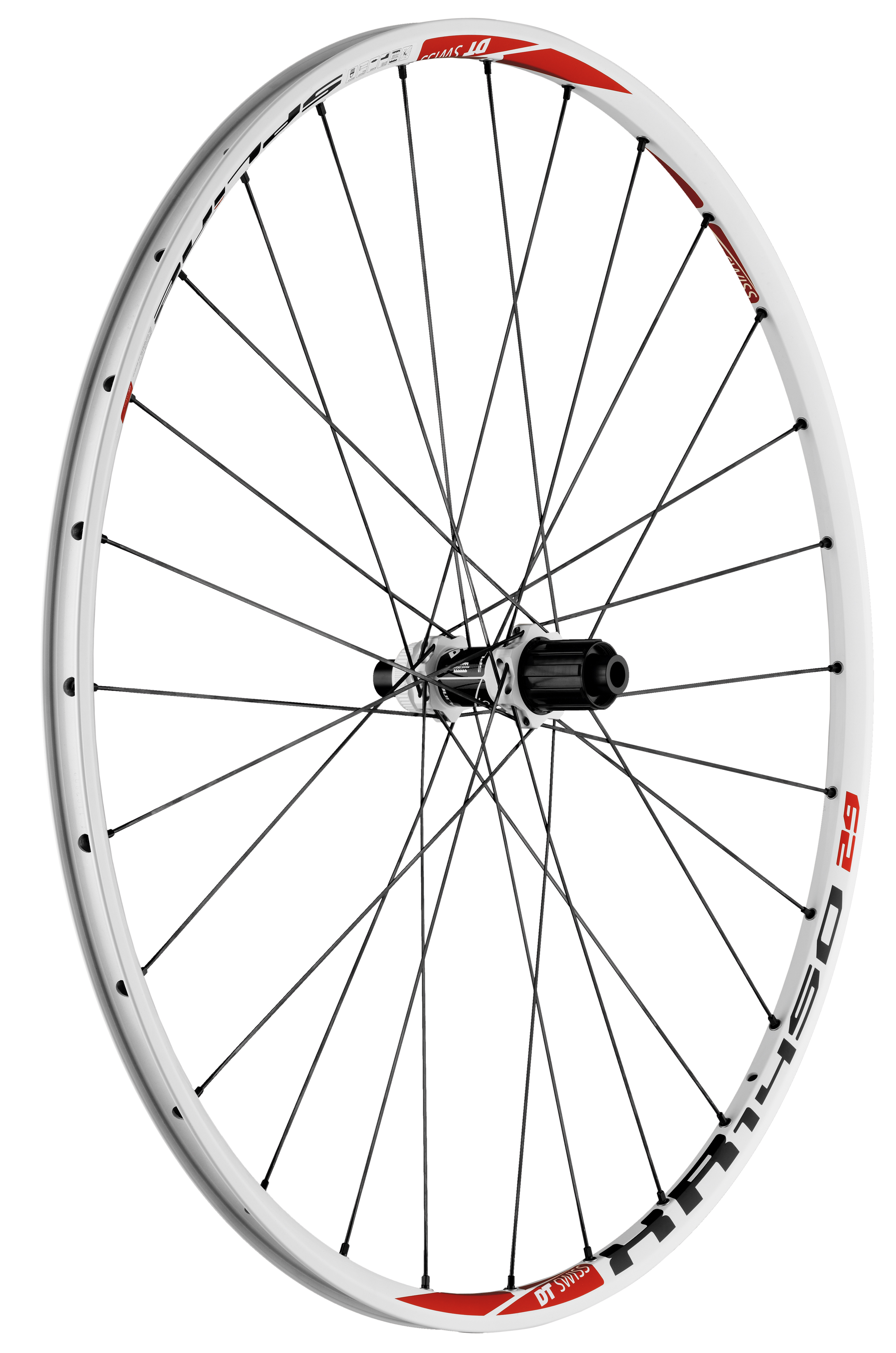 DT Swiss XR1450 Spline 29