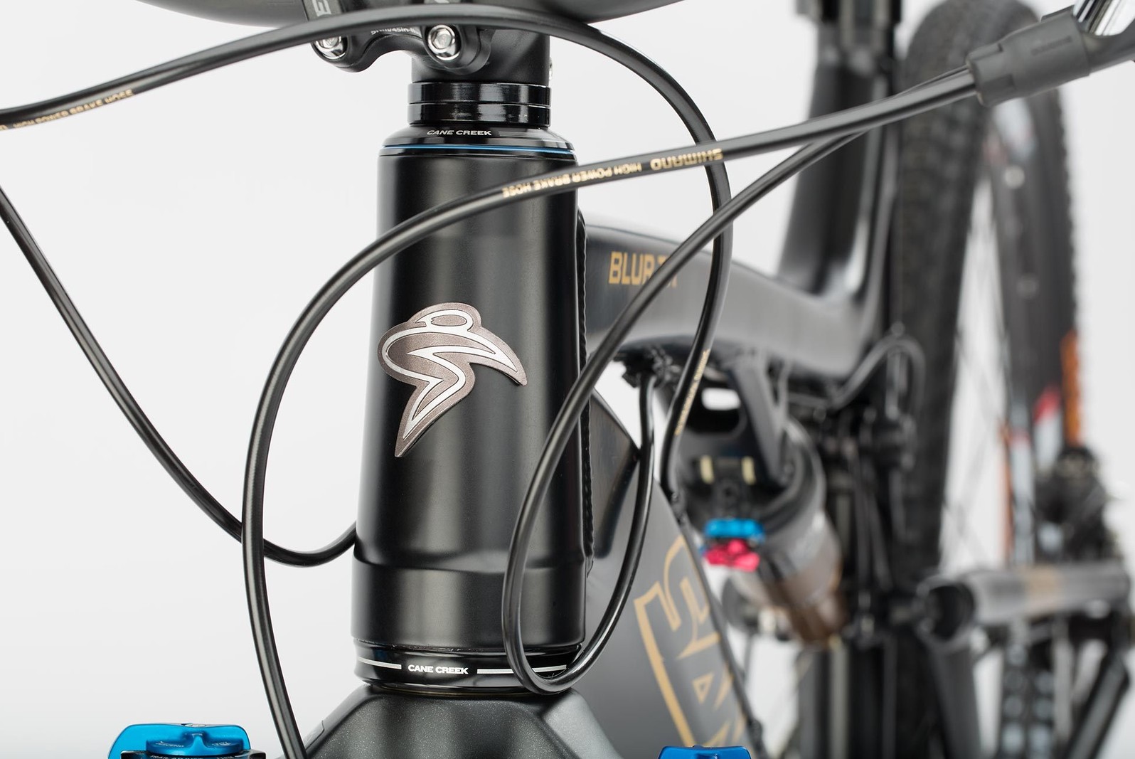 santa cruz blur frame