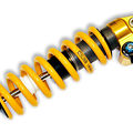 c120 Ohlins TTX Shock