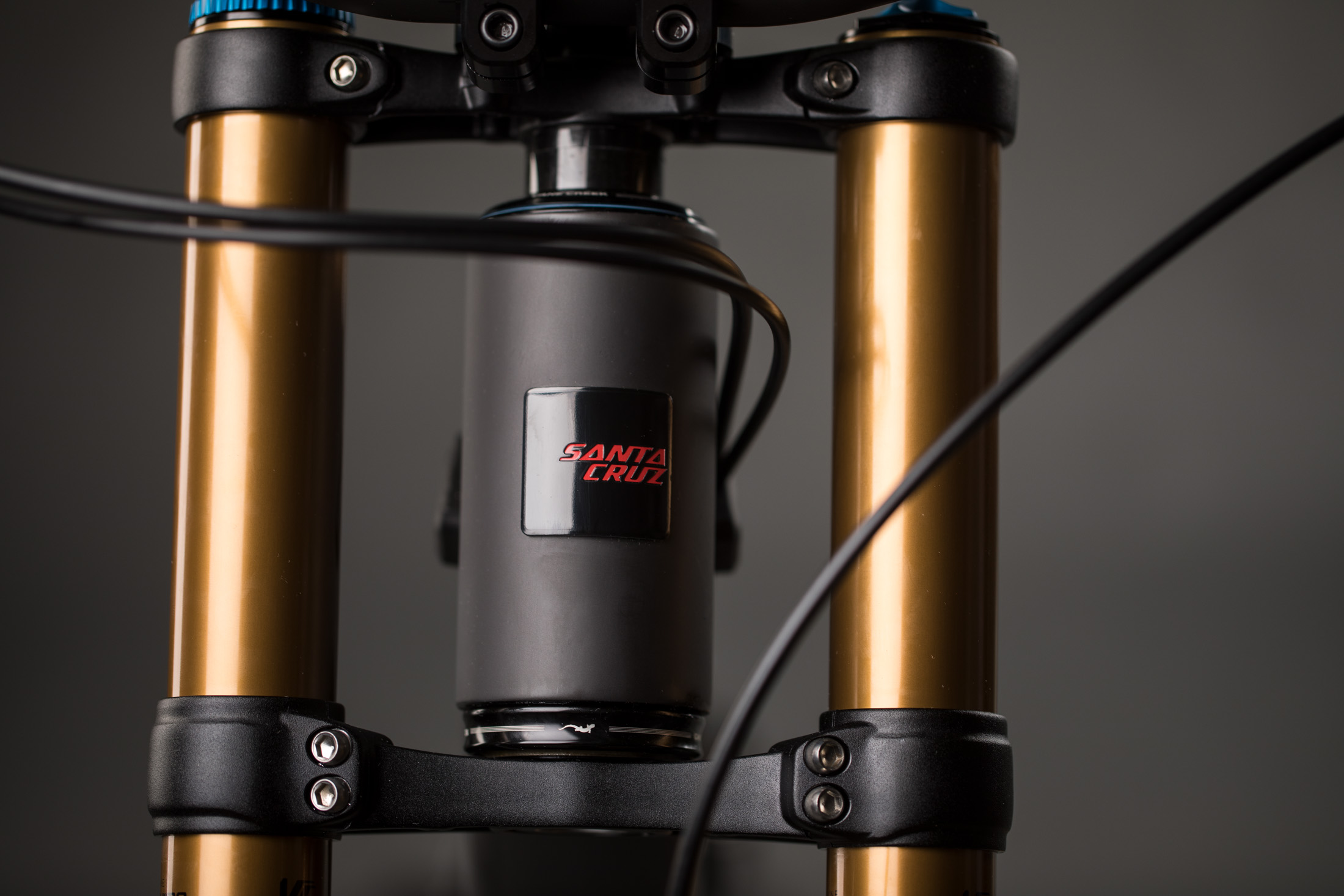 2019 Santa Cruz V10 Carbon CC X01 29 Bike - Reviews, Comparisons