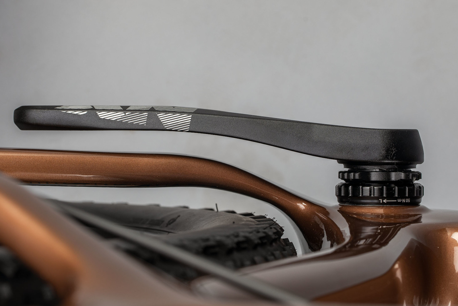 chameleon frame santa cruz