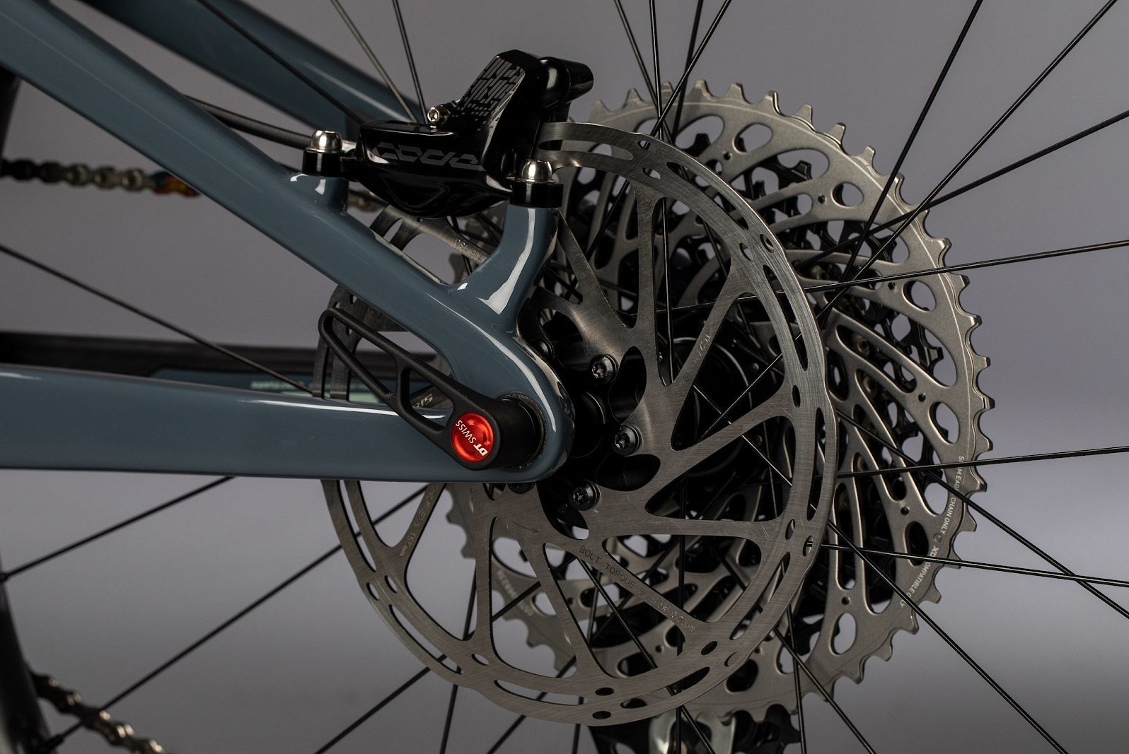 juliana roubion 2019